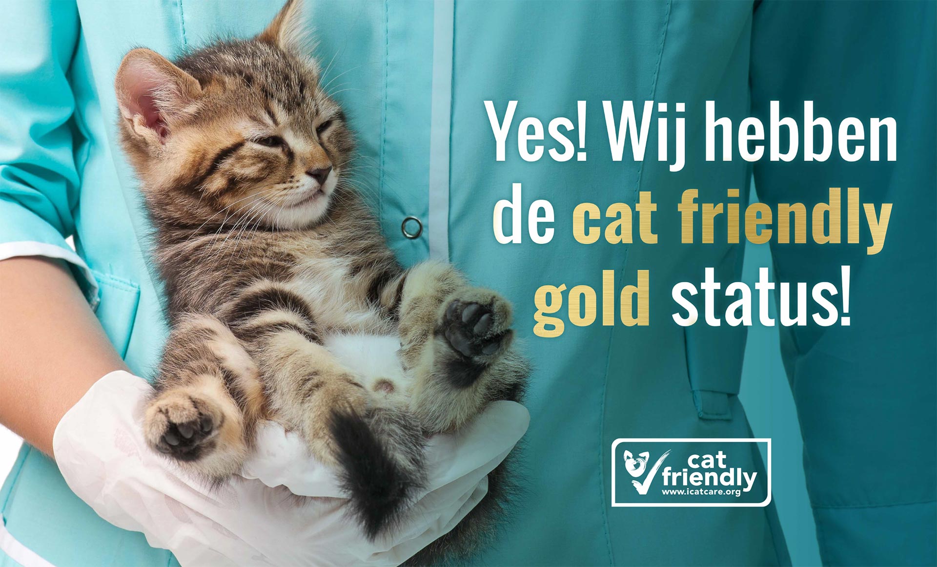 Dierenziekenhuis Oldenzaal, Cat friendly gold clinic!