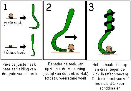 Teken bij de kat